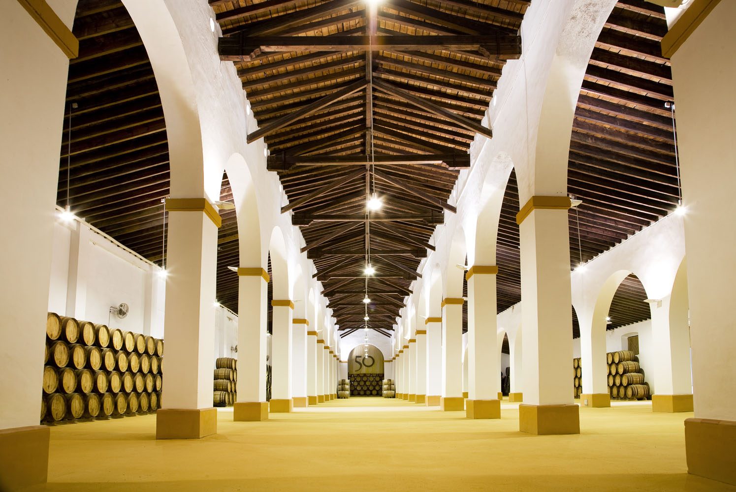 Nave de barricas centenarias