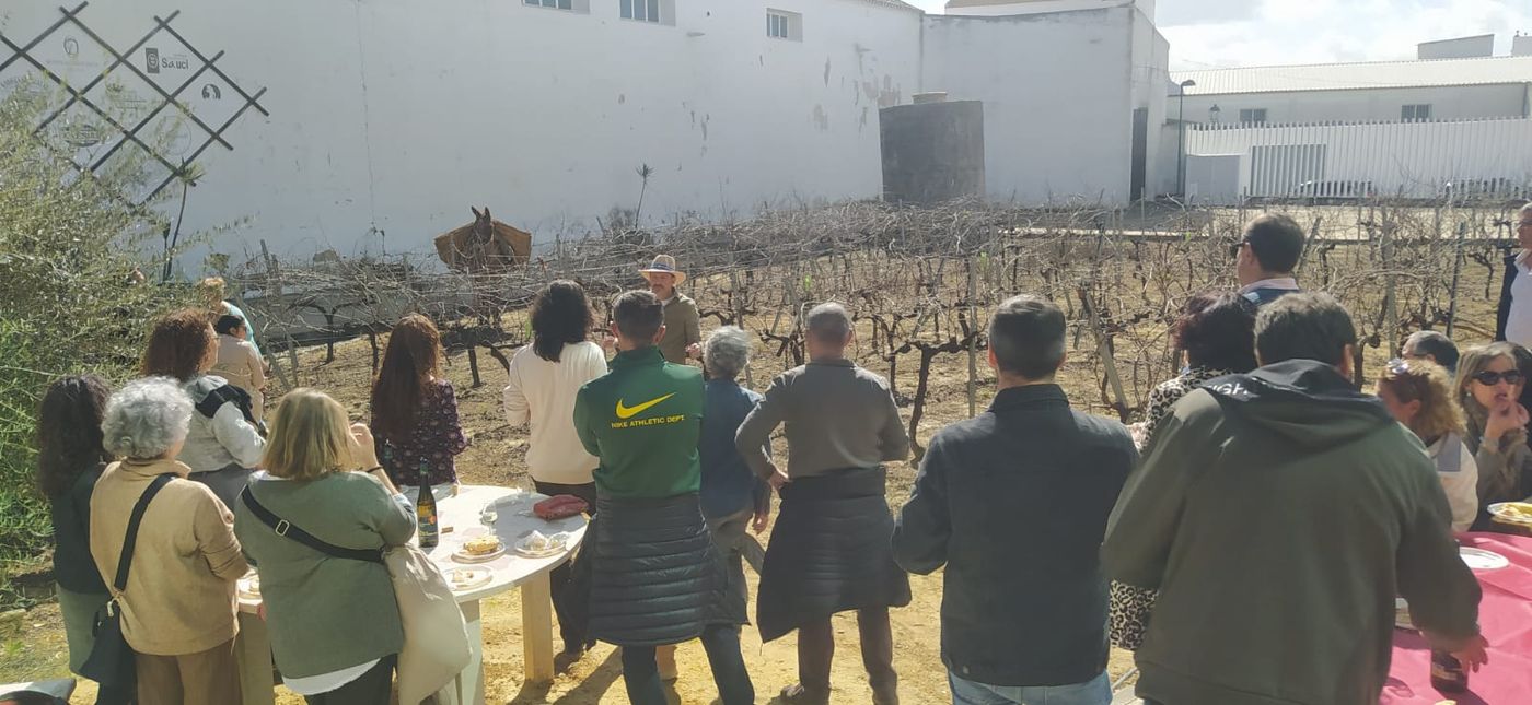 Del viñedo a la sacristía